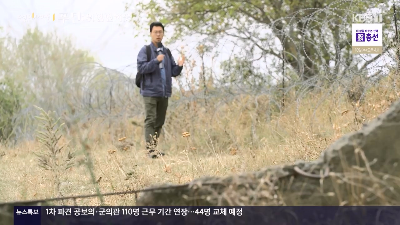 다큐 인사이트.E184.240405p-NEXT.mp4_20240406_145012.857.jpg