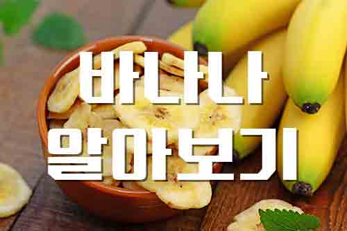  바나나, 달콤한 바나나에 대한 모든 것