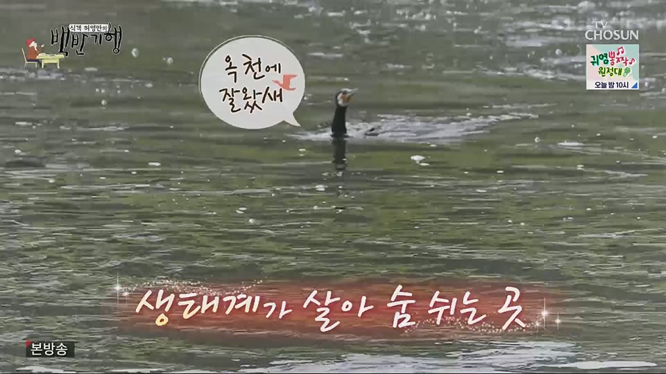 식객 허영만의 백반기행.E205.230630p.H264-F1RST.mp4_20230701_174950.650.jpg