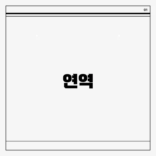 연역