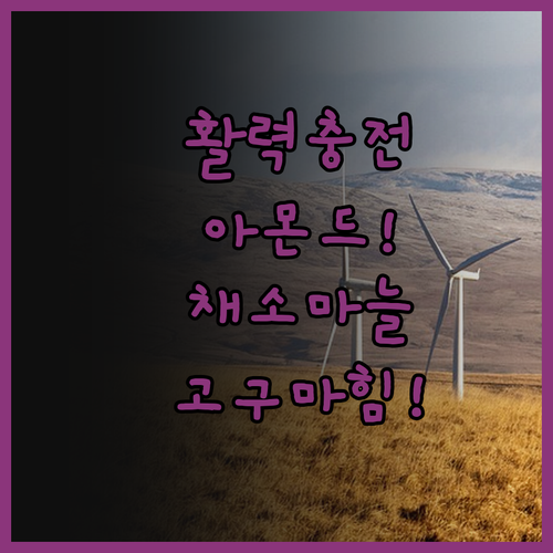 💥 에너지 UP! 아몬드, 채소, 마