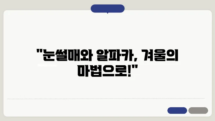 가산수피아 알파카 체험