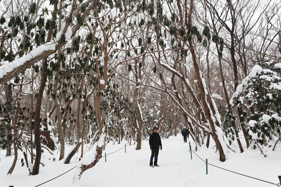 눈쌓인 겨울산 이미지 2