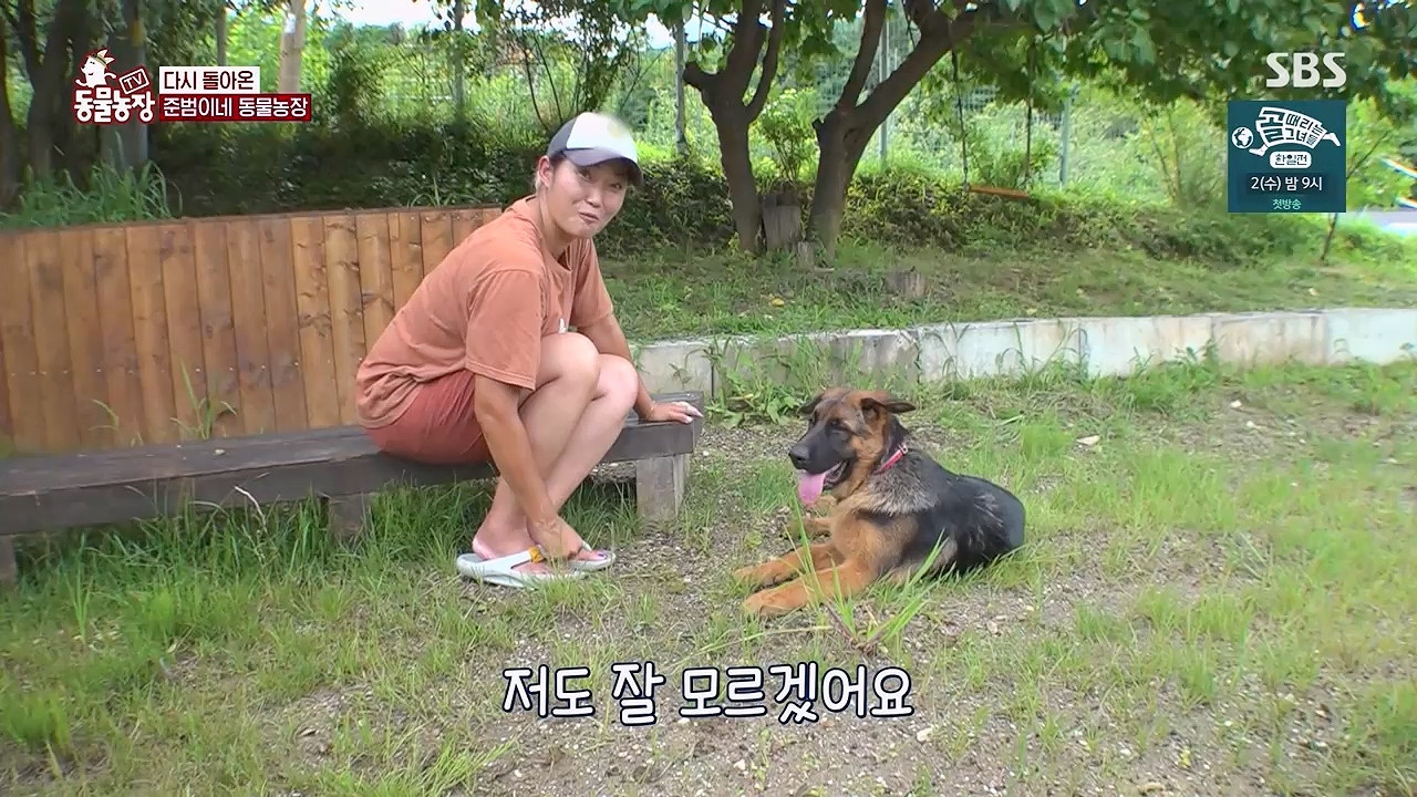 TV 동물농장 1189화 다시보기.ts_20240922_161950.663.jpg