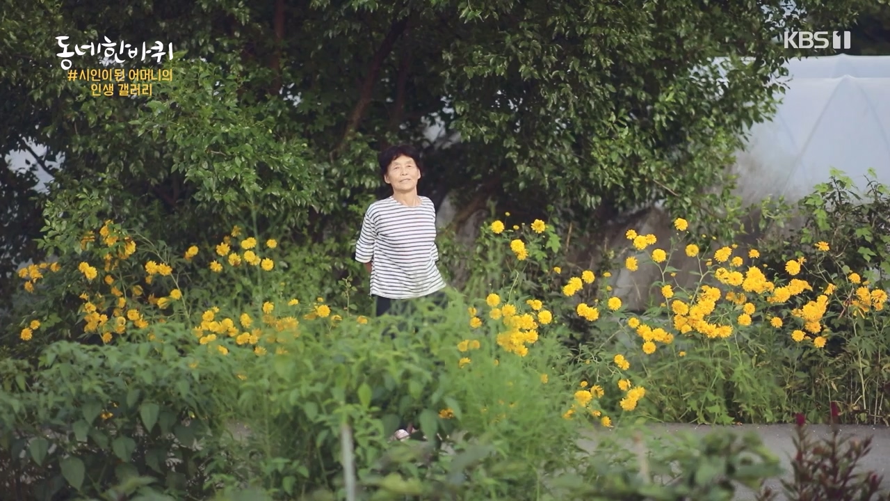 동네 한 바퀴.E237.230827p-NEXT.mp4_20230829_212640.759.jpg