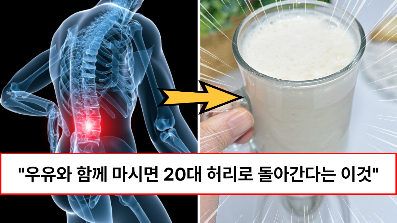 “미리 드시면 허리디스크도 예방합니다” 마시기만 해도 허리 척추가 20대로 돌아간다는 우유와 찰떡궁합인 음식 2가지 “미리 드시면 허리디스크도 예방합니다” 마시기만 해도 허리 척추가 20대로 돌아간다는 우유와 찰떡궁합인 음식 2가지
