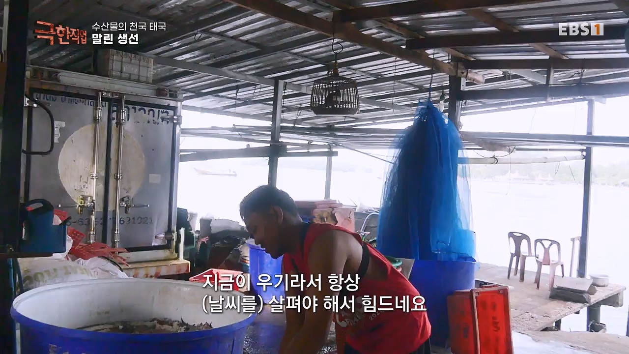TV - 전 국민의 평생학교 EBS수산물의 천국 태국, 새우 양식과 말린 생선.mp4_20240604_201810.093.jpg