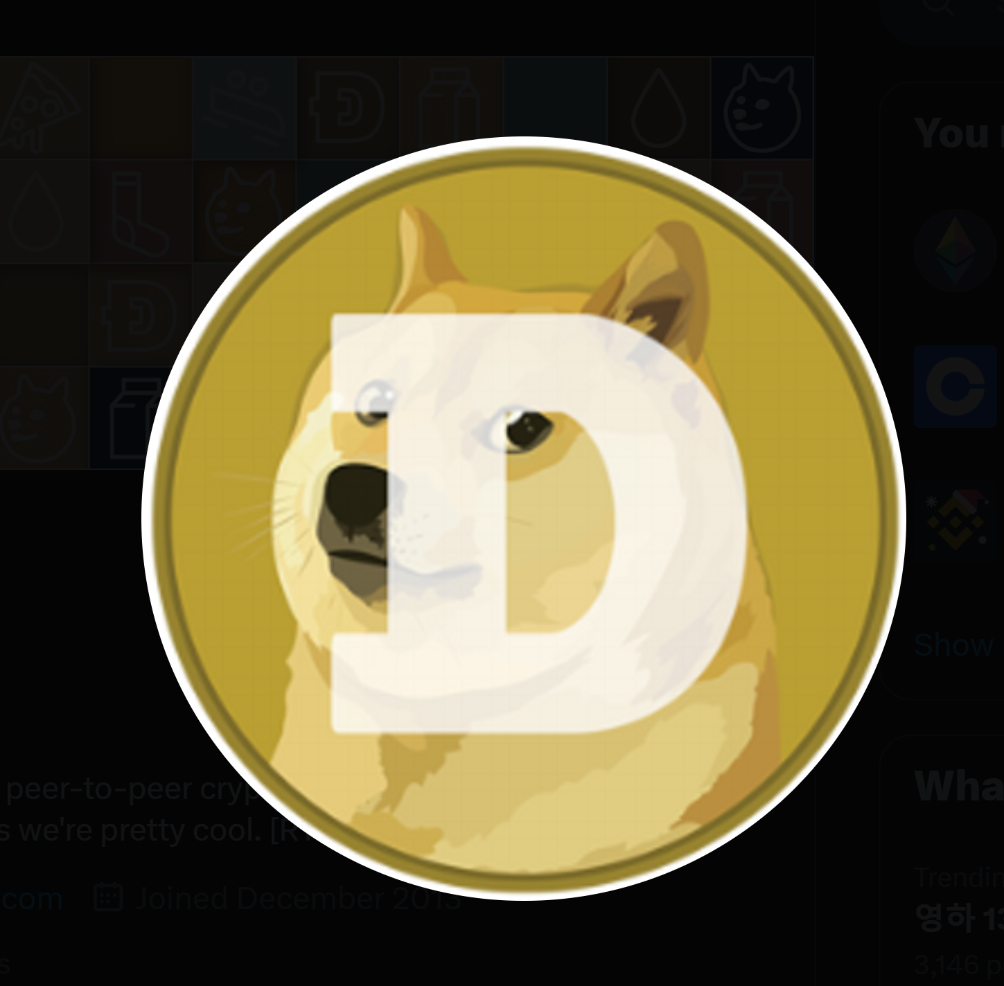 도지코인(DOGE) 시세 분석 전망