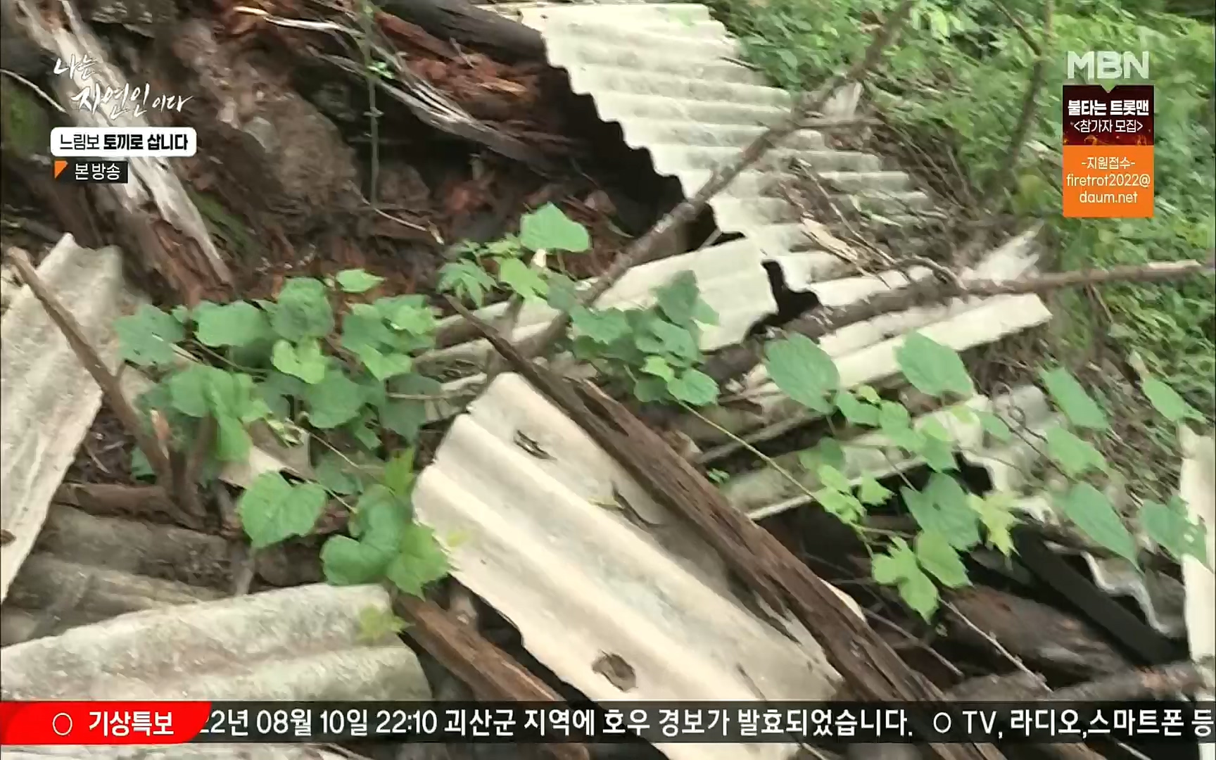 나는 자연인이다.E514.220810p.H264-F1RST.mp4_20220811_202604.524.jpg