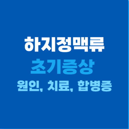 하지정맥류 초기증상