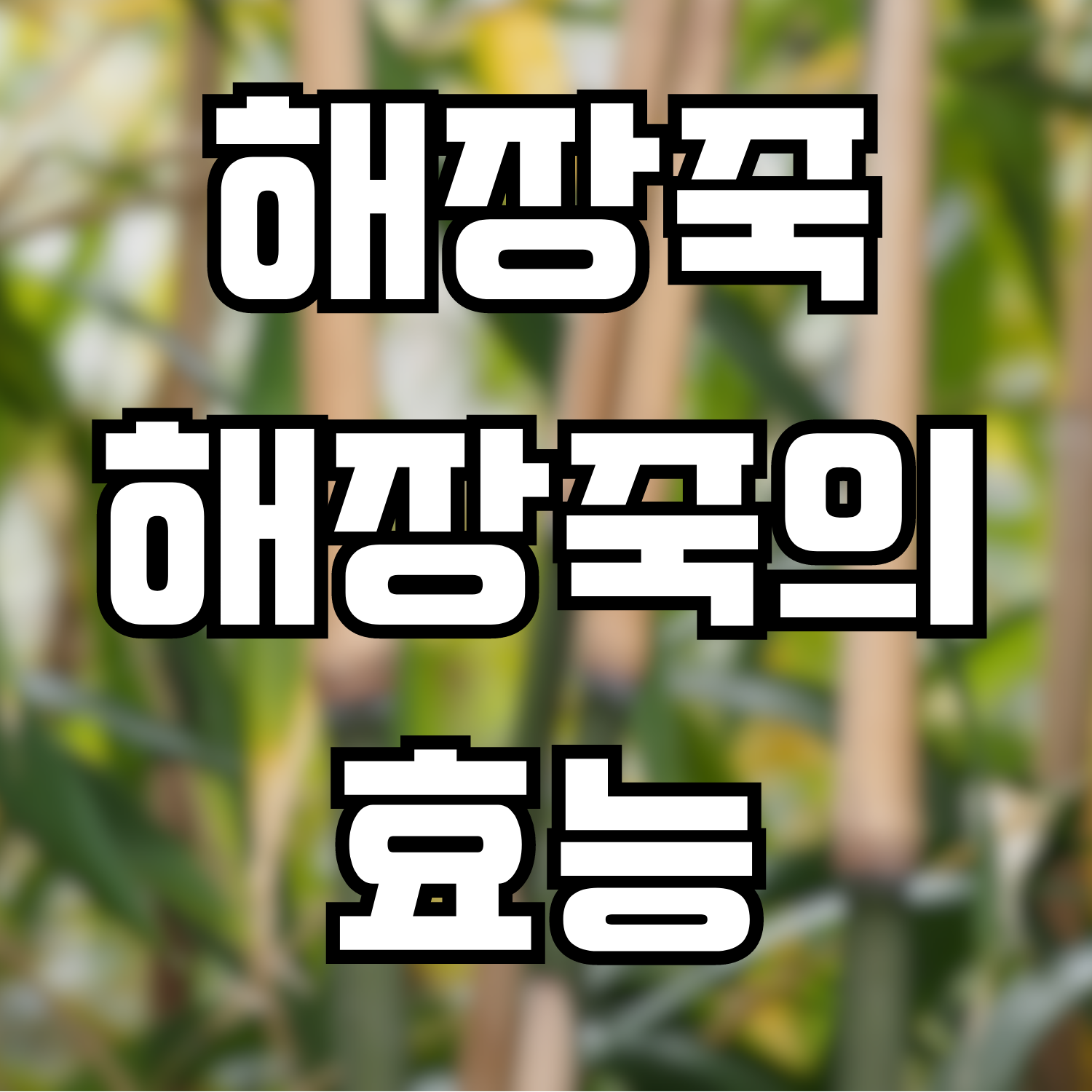  해장죽, 해장죽의 효능
