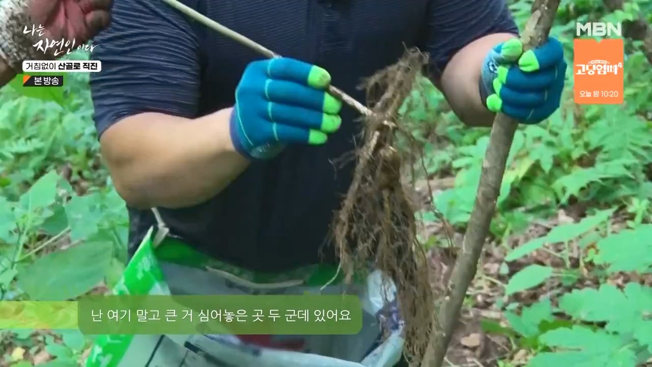 나는 자연인이다.E564.230727p-NEXT.mp4_20230727_211929.951.jpg