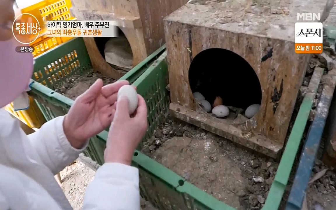 현장르포 특종세상.E524.220332p-NEXT.mp4_20220402_185259.261.jpg