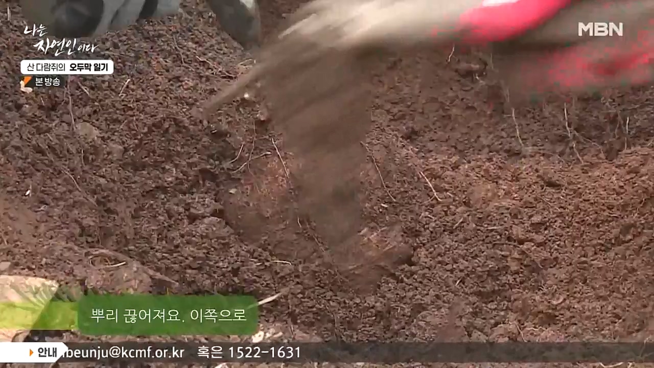 나는 자연인이다.E525.221027p-NEXT.mp4_20221027_192759.155.jpg