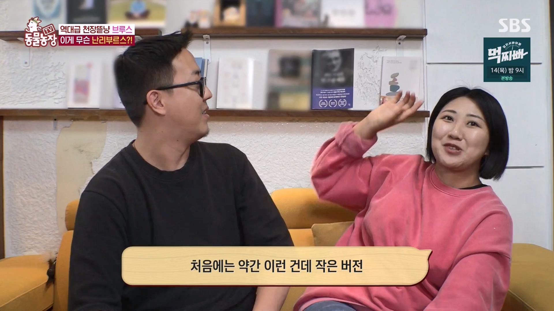 TV 동물농장.E1162.240310p-NEXT.mp4_20240310_162851.264.jpg