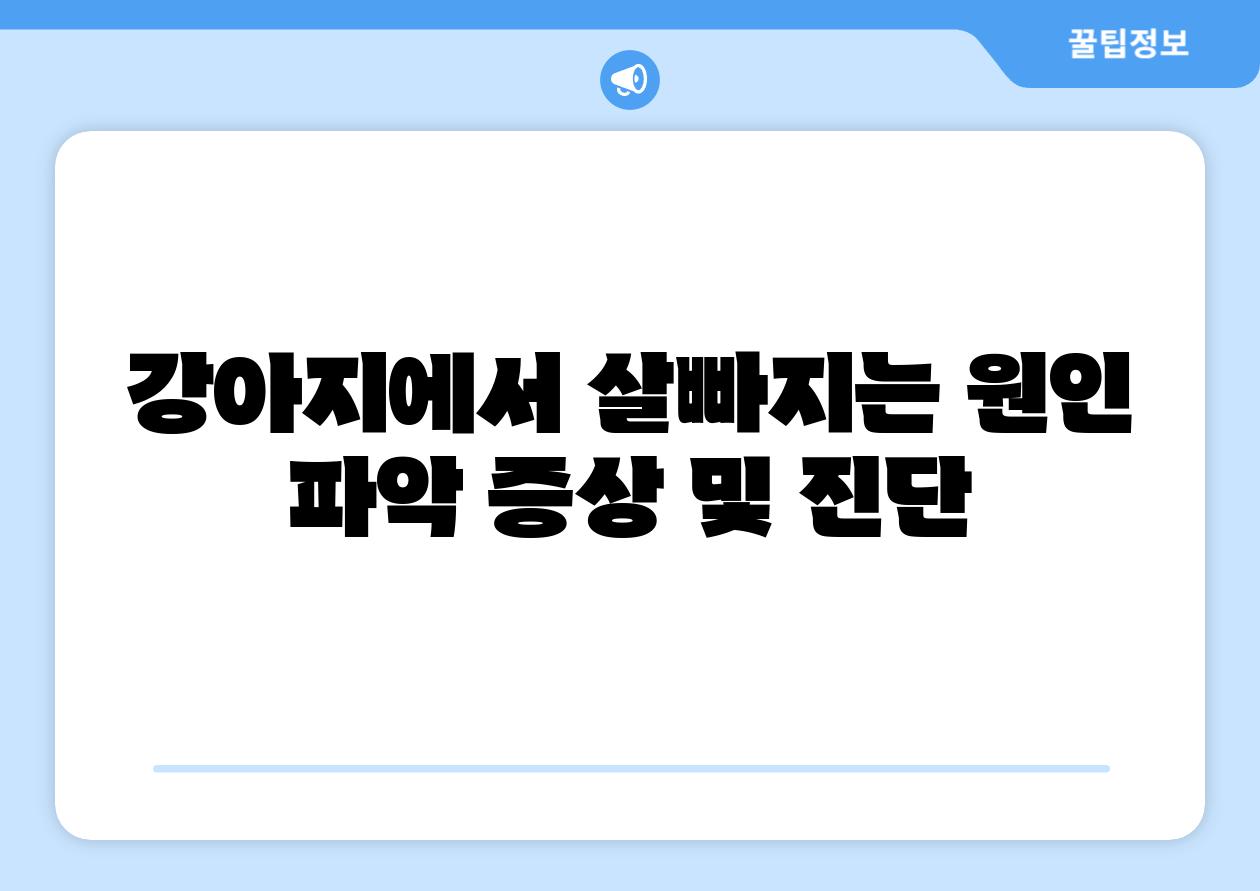 강아지에서 살빠지는 원인 파악 증상 및 진단