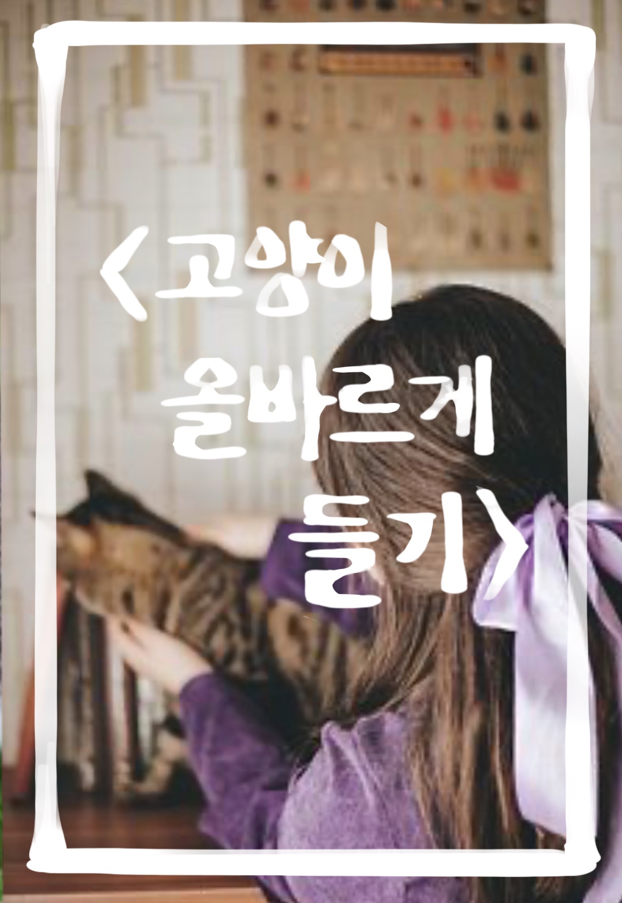  고양이 올바르게 들기, 고양이가 좋아하는 쓰다듬는 방법