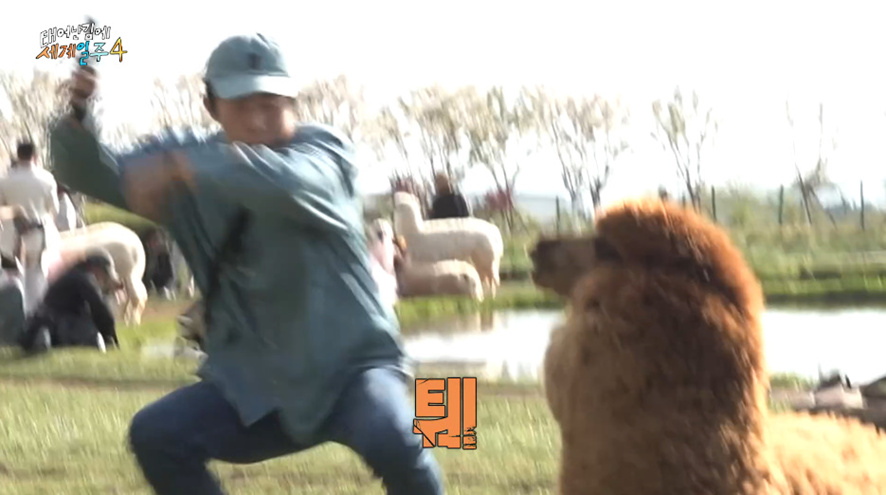 태계일주 시즌1에서 못한 소원 드디어 이뤘다는 기안 | 인스티즈