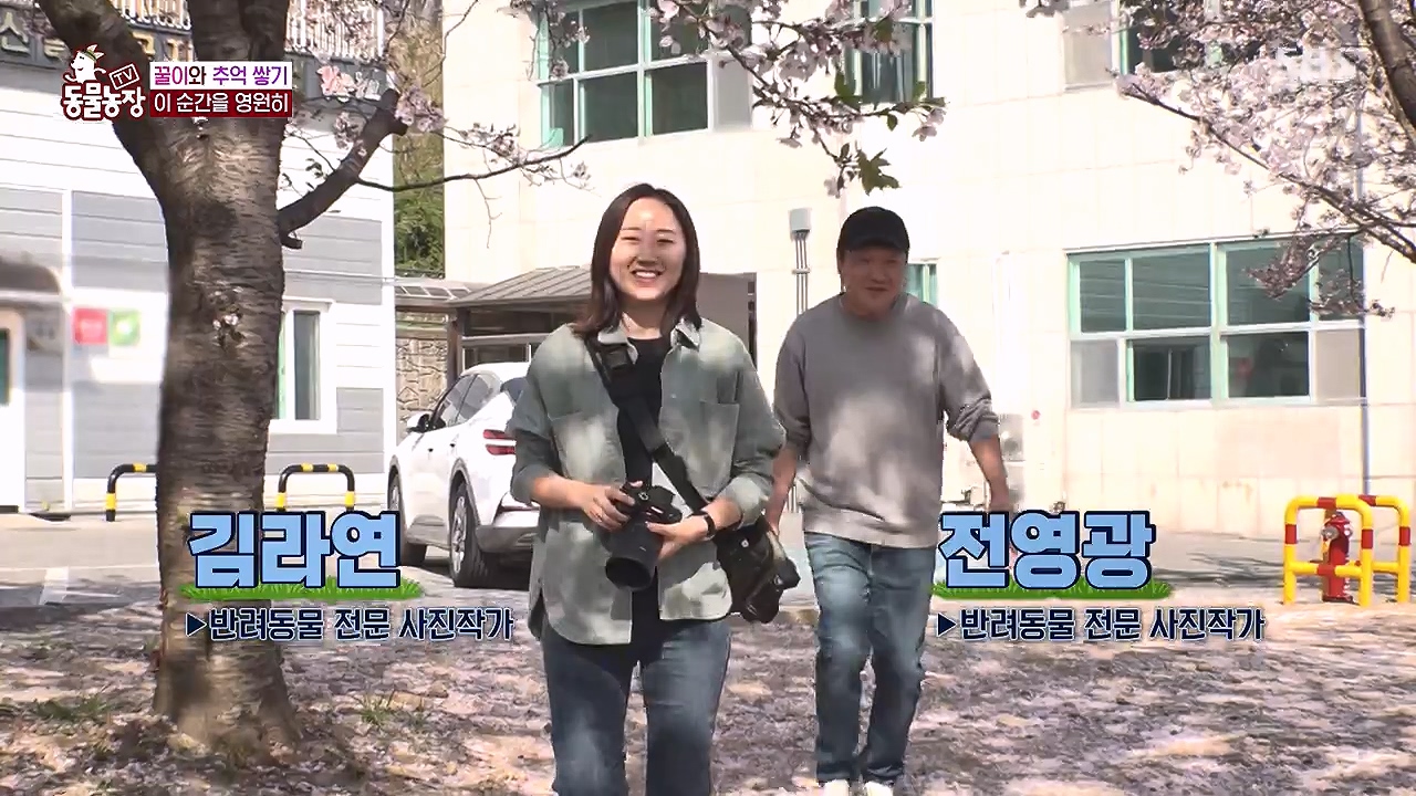 TV 동물농장.E1174.240603p-NEXT.mp4_20240602_154456.870.jpg