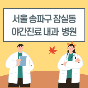 송파구 잠실동 야간진료 내과 병원 리스트 (18시 이후 늦게까지하는 병원)