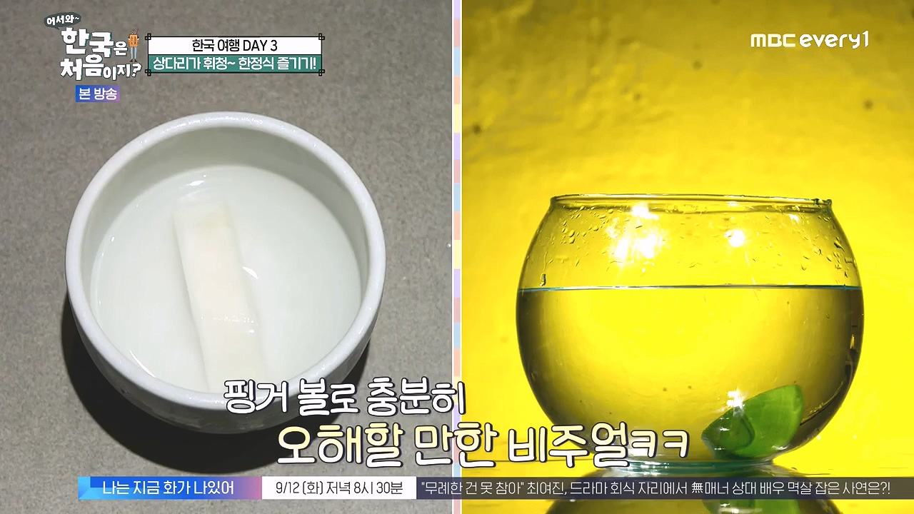 어서와 한국은 처음이지 시즌2.E279.230908p-NEXT.mp4_20230908_204037.153.jpg