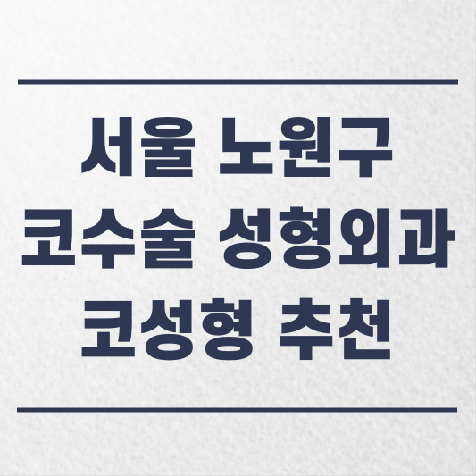 서울 노원구 코수술 성형외과 추천 코성형 잘하는 곳 가격 비용 금액 후기.jpg