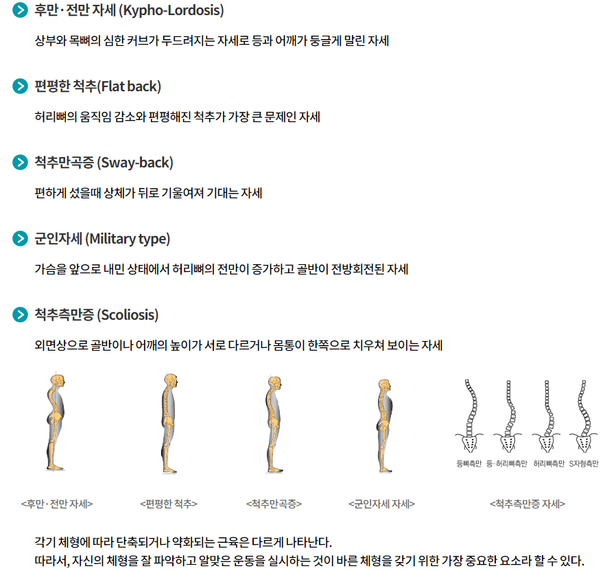 운동지원금 스포츠활동 인센티브