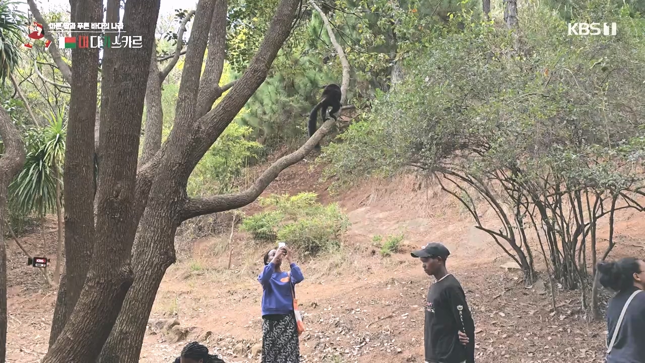 걸어서 세계속으로.E814.231022p-NEXT.mp4_20231022_170315.584.jpg