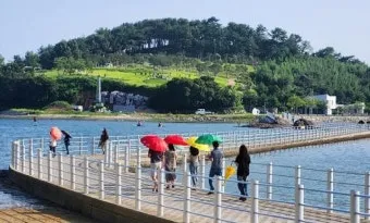 전남 여수 섬여행 예술의 섬 장도 리뷰_19