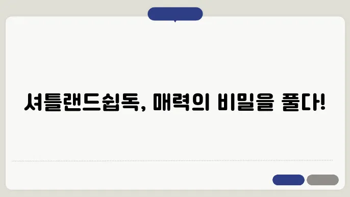 셔틀랜드쉽독 특징 알아보기
