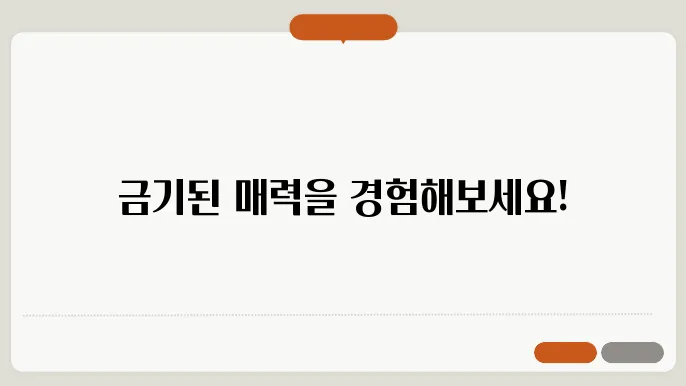 넷플릭스 29금 영화 추천 목록(성인들 영화)