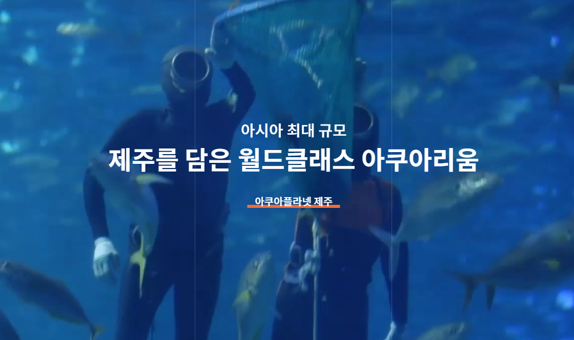 제주도