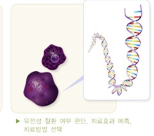 병리 조직검사 피부 조직검사 방법, 부작용 2