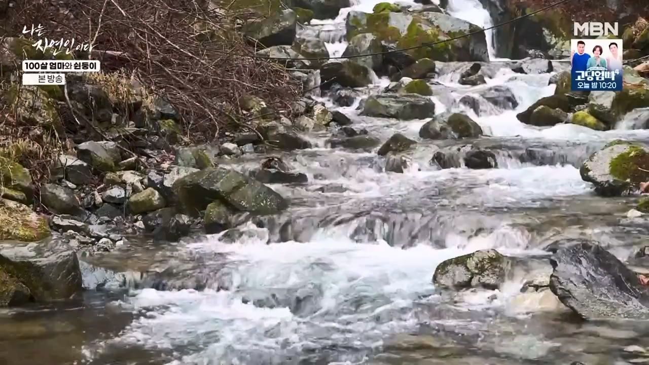 나는 자연인이다.E597.240314p-NEXT.mp4_20240314_195513.890.jpg