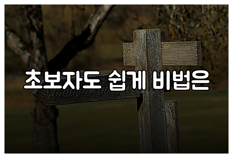 초보자도 쉽게 비법은