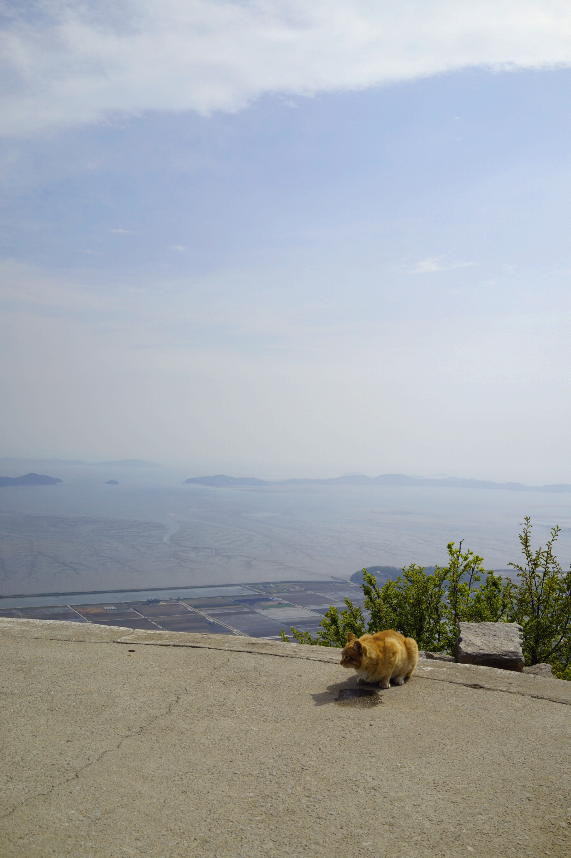 한국 명산 인천 강화 여행 마니산 등산 mountain hiking
