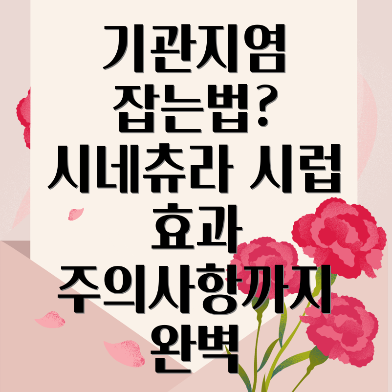 시네츄라 시럽