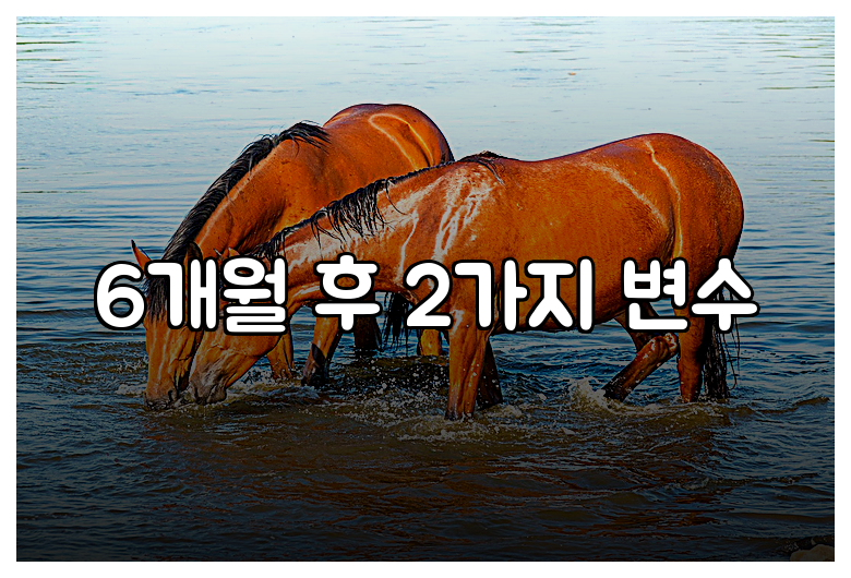 6개월 후 2가지 변수