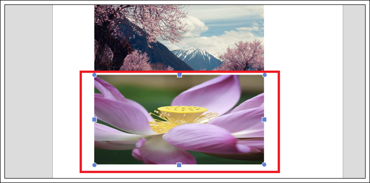 한글 이미지 사진 크기 동일하게 설정