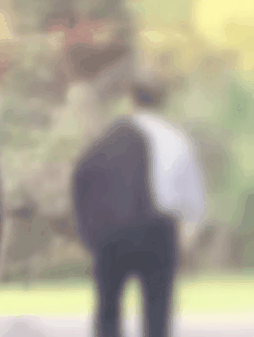  정치인짤방 모음