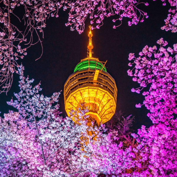이월드-벚꽃축제