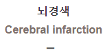  뇌경색 [Cerebral infarction]