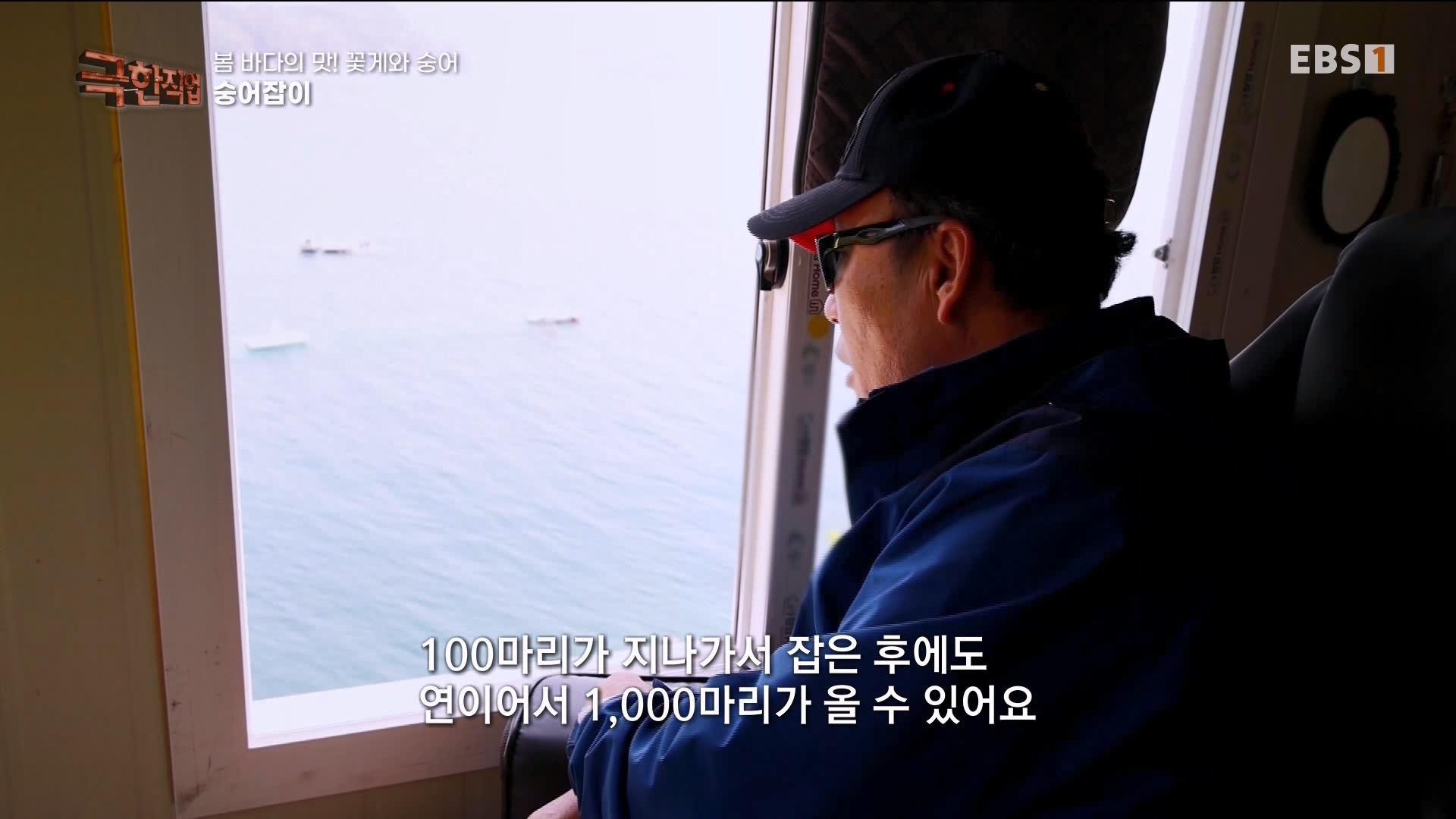 극한 직업 꽃게와 숭어 1080p.mp4_20230530_194650.259.jpg