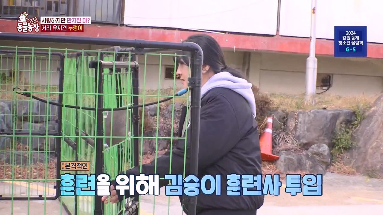 TV 동물농장.E1154.240115p-NEXT.mp4_20240114_184403.760.jpg