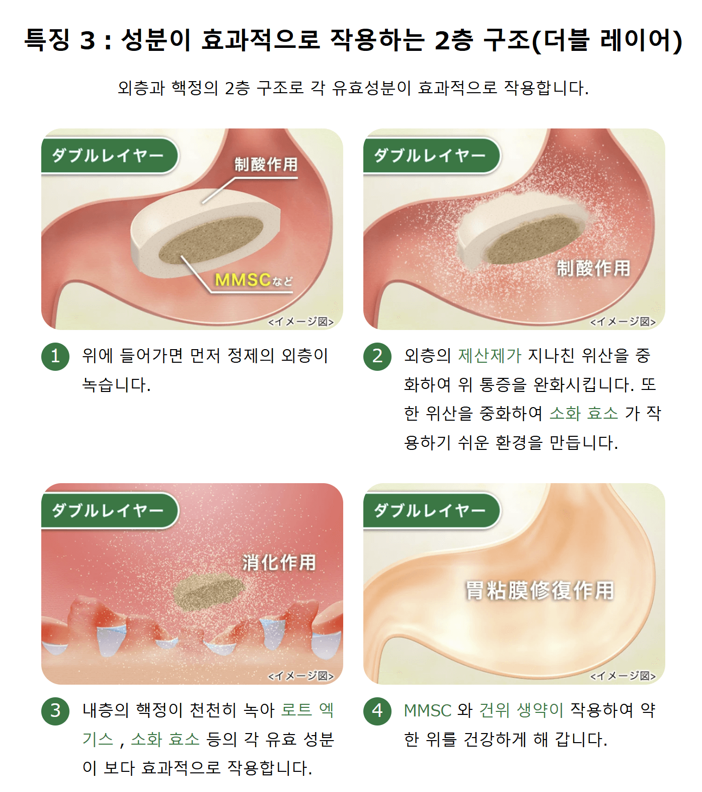 캬베진 효과 특징2
