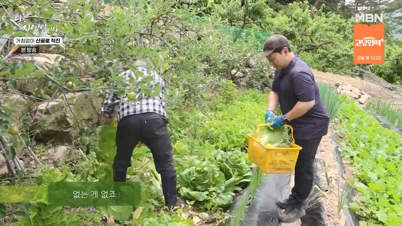 나는 자연인이다.E564.230727p-NEXT.mp4_20230727_211925.669.jpg