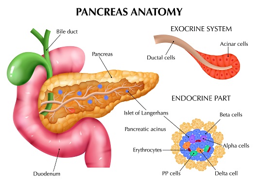 pancreatic-cancer