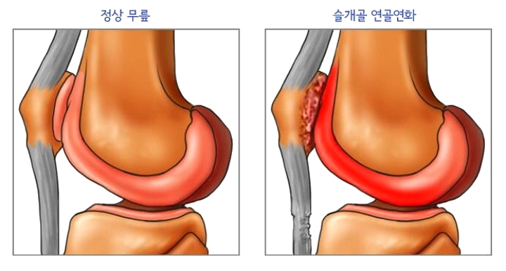 연화랑 이미지