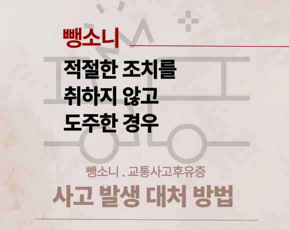 뺑소니는 적절한 조치를 하지않고 도주한것입니다.