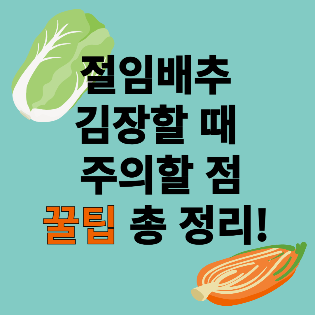 절임배추김장할때주의할점